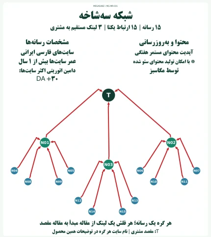 پکیج لینک‌سازی شبکه سه‌شاخه مگاسبز