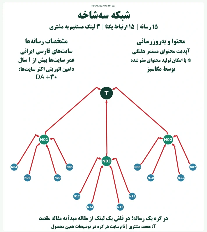 پکیج لینک‌سازی شبکه سه‌شاخه مگاسبز
