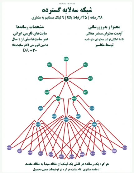 پکیج لینک‌سازی شبکه سه‌لایه گسترده مگاسبز
