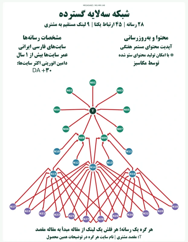 پکیج لینک‌سازی شبکه سه‌لایه گسترده مگاسبز